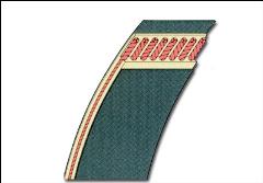 Cinghia piatta a struttura composita 