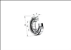 Cuscinetto radiale ad una corona di rulli conici