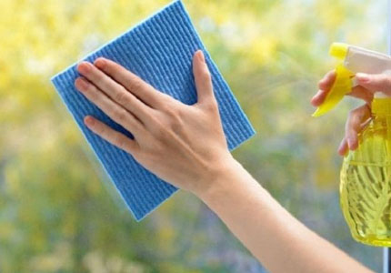 Articoli per la pulizia