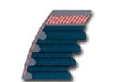 Cinghie sincrone, denti arrotondati