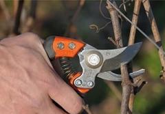 Archetti, segacci, cesoie, forbici