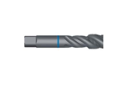 Maschio G, imbocco C, elica 40° vapor., anello blu, DIN 5156