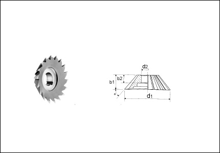 HSS-Co angular face cutter