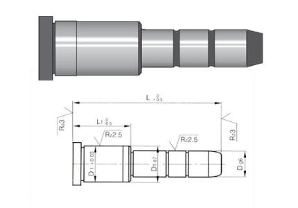 Pilot pin with 2 diameters, special measures