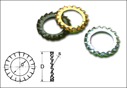 Rondella di bloccaggio esternamente dentellata