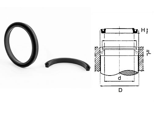 Ole-hydraulic lip seal DE