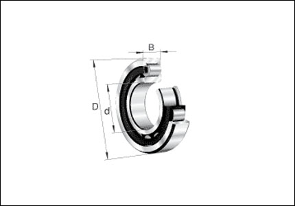 Cuscinetto radiale ad una corona di rulli cilindrici