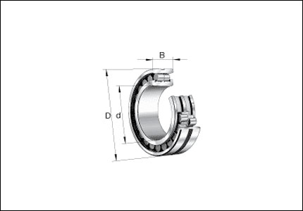 Radial double row straight roller bearing