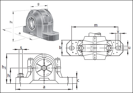 Plummer block SNV 100