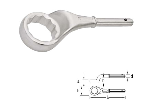 Polygonal ring spanner