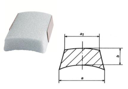 Shape D abrasive segment