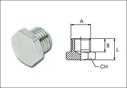 Parallel male plug