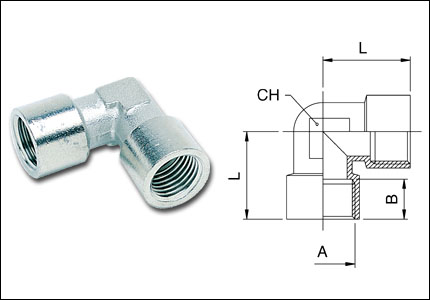 Female elbow